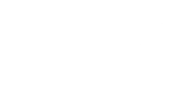 Pistolas