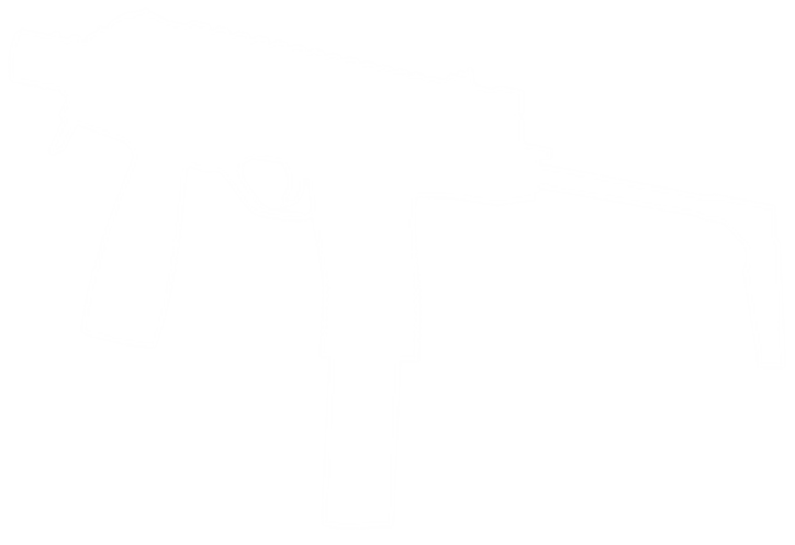 SMGs